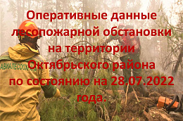 ЕДДС Октябрьского района информирует о лесопожарной обстановке!